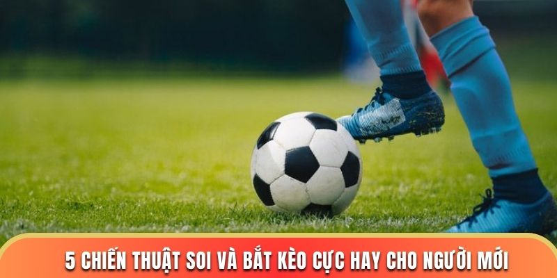 5 chiến thuật soi và bắt kèo chấp 1.5 cực hay cho người mới
