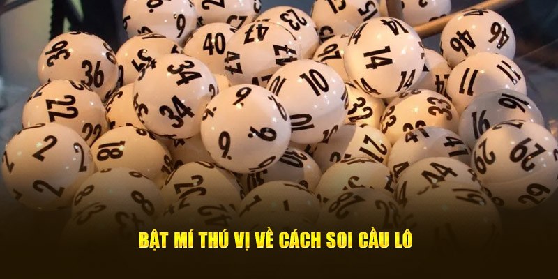 Giải đặc biệt luôn được ưu tiên sử dụng khi áp dụng cách soi cầu lô