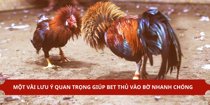 Quy định thắng thua hiện có tại nhà cái abc8